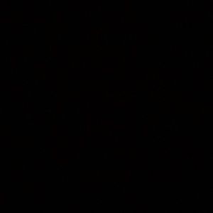 Meet your Posher, Camella